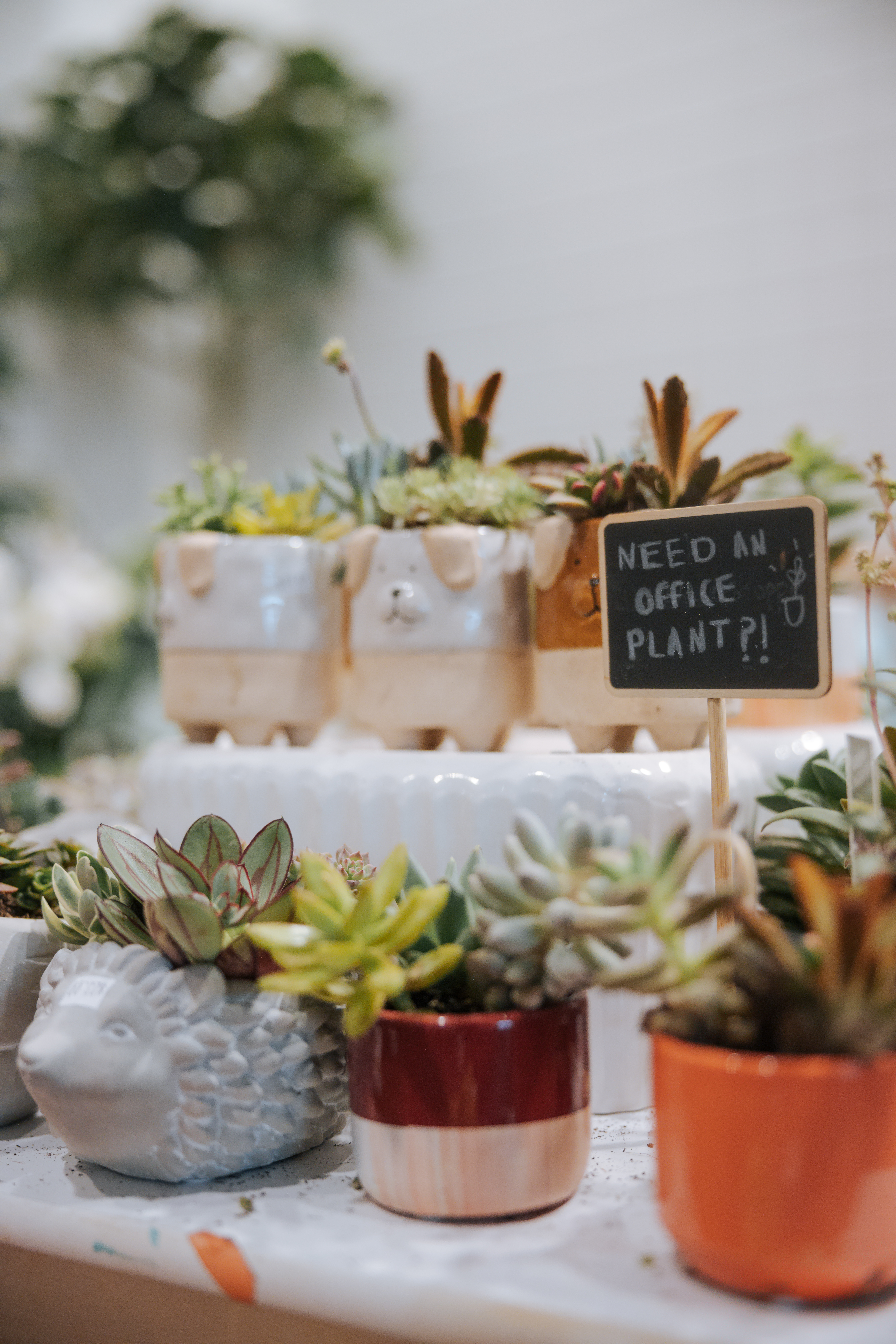 the garden shoppe