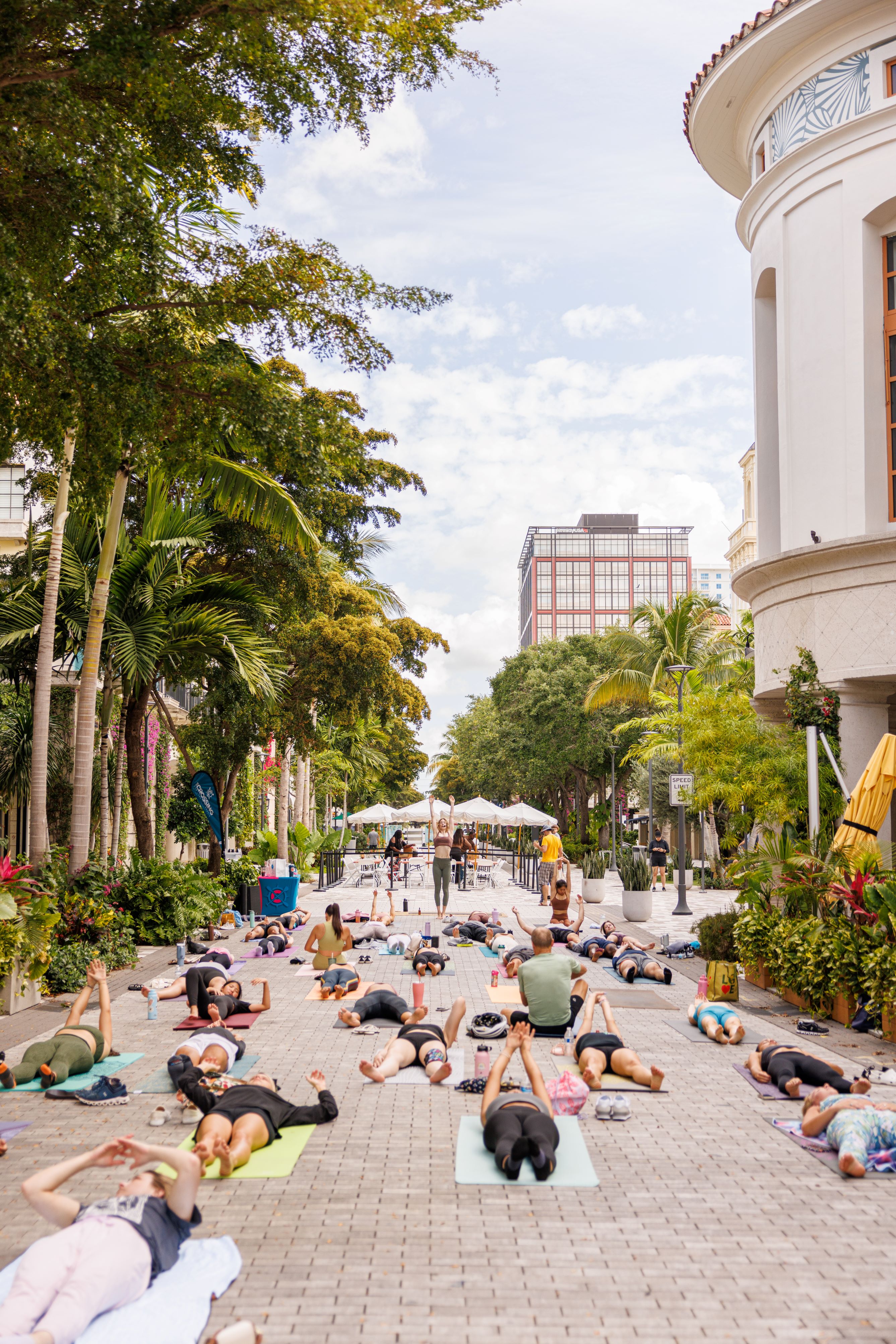 yoga on rosemary ave