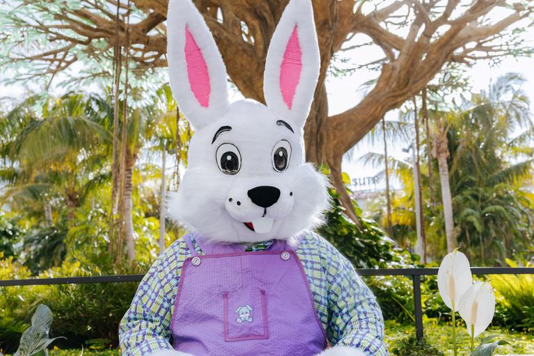 easter bunny 