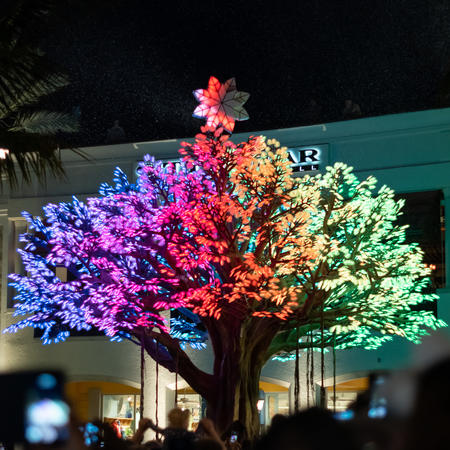 Wishing Tree